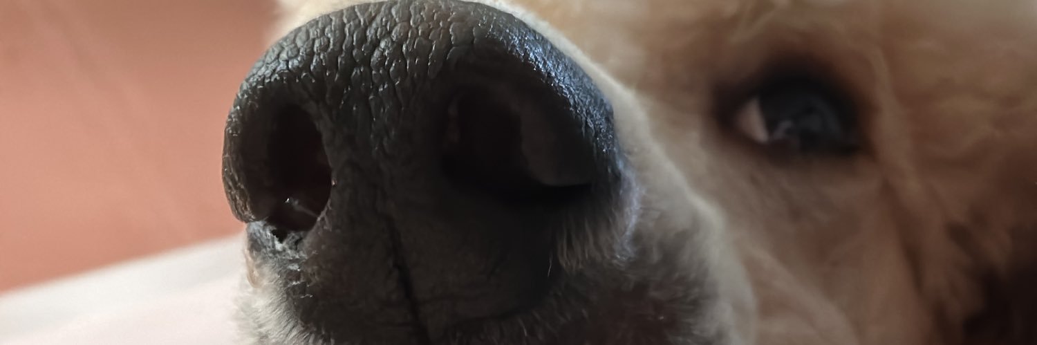 favo_jeanpi's profile banner image