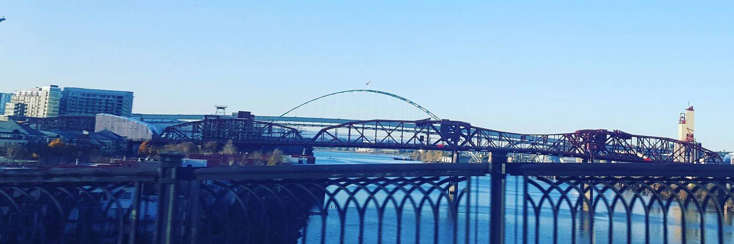ShayleneMorgan's profile banner image