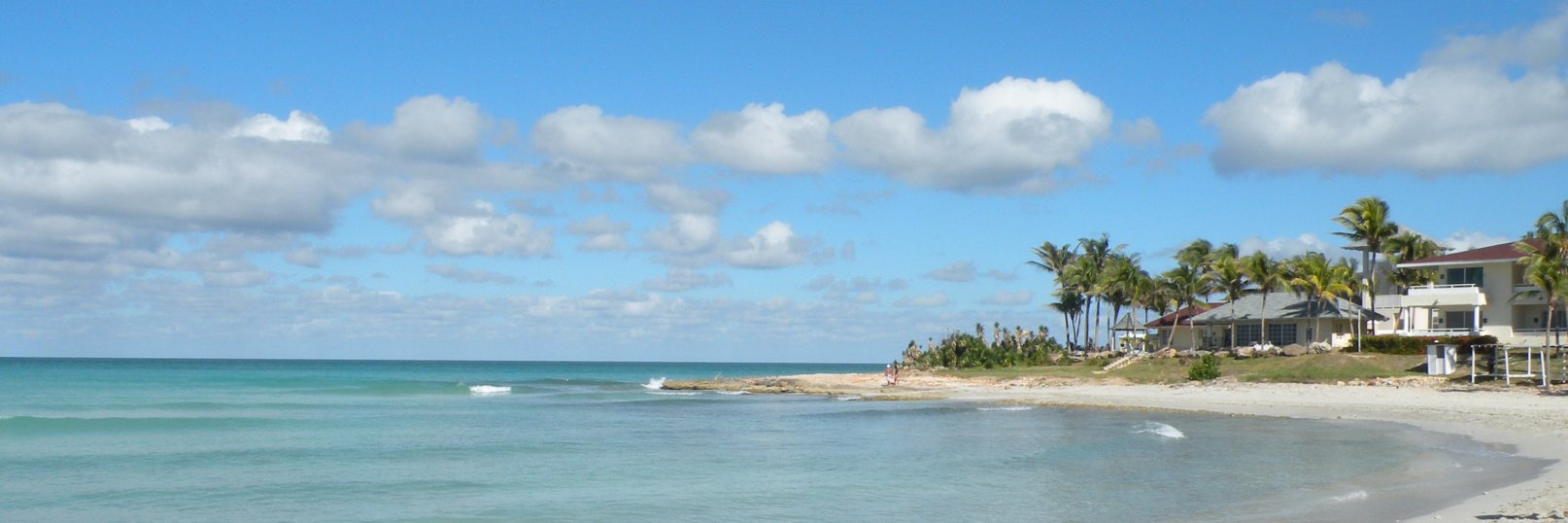 Matteo Castoldi banner