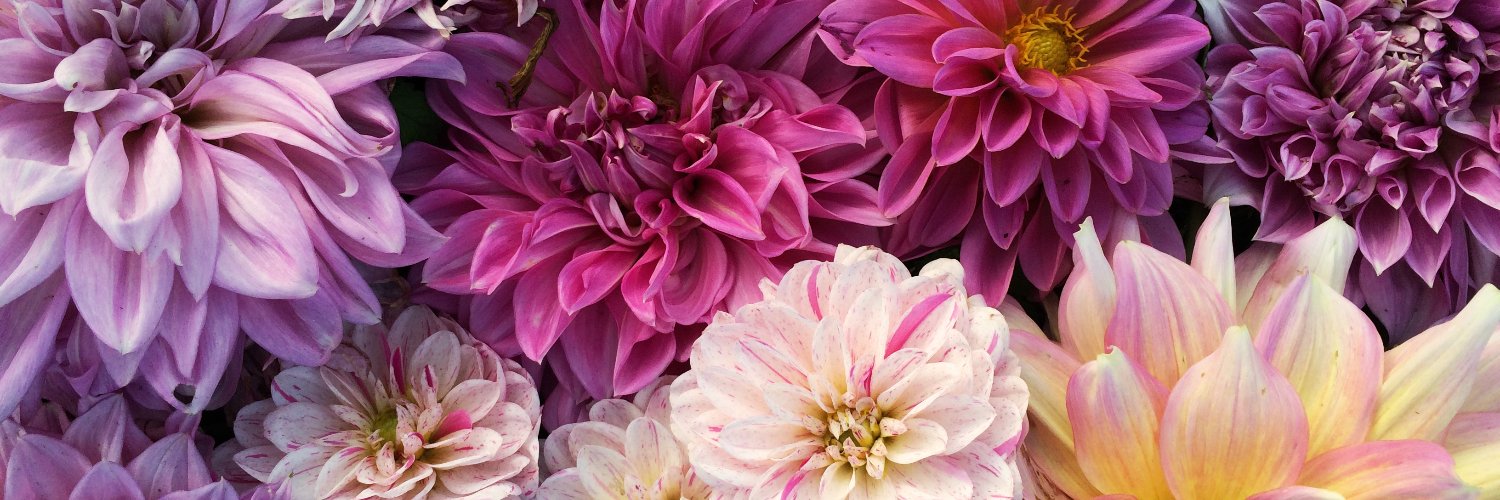 corinnpope's profile banner image
