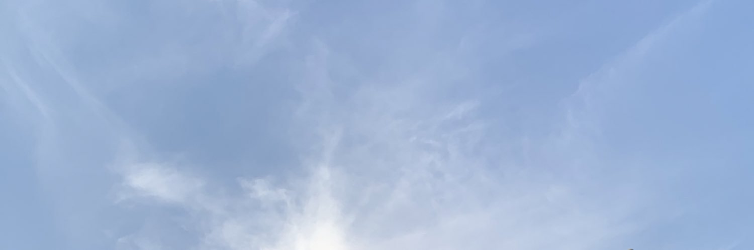 tagrid🕊 banner
