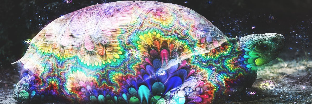 CarolKawi's profile banner image