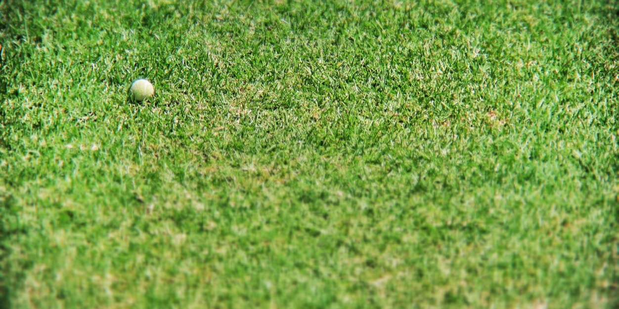 OZBM's profile banner image