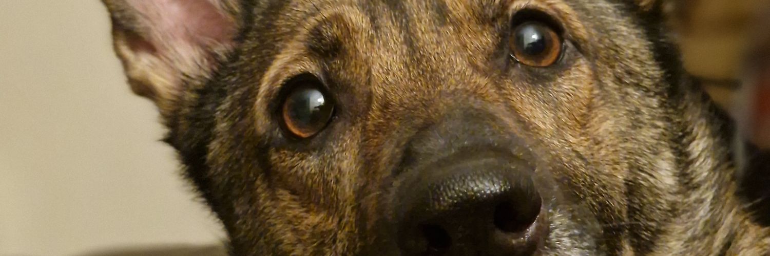 Jessica_Robyn_X's profile banner image