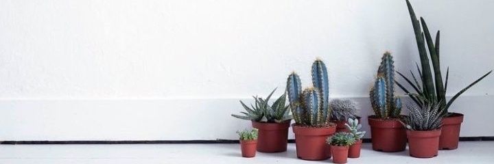 _kaderrcan's profile banner image