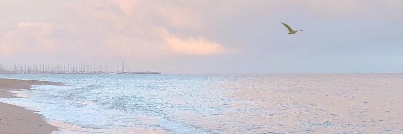 amlnadnn's profile banner image
