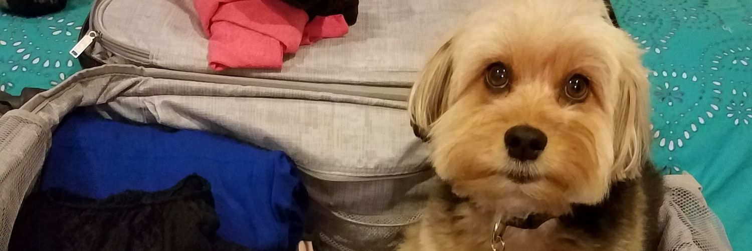 TheReal_Nash_'s profile banner image