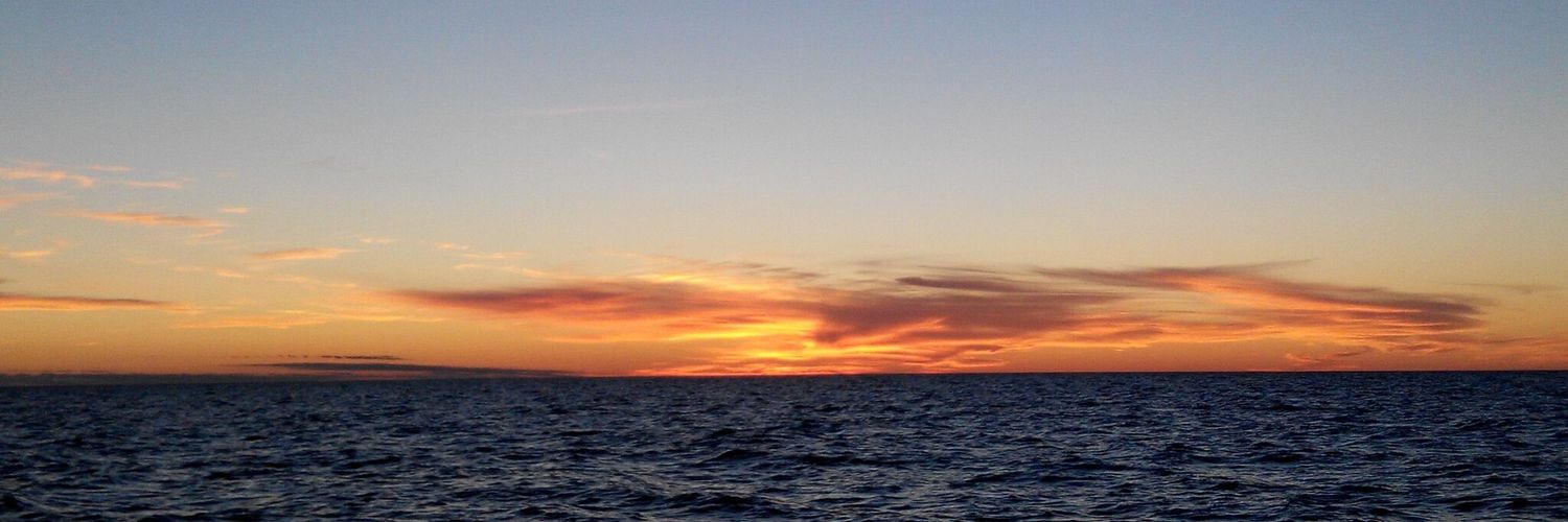 Suncica Bosak banner