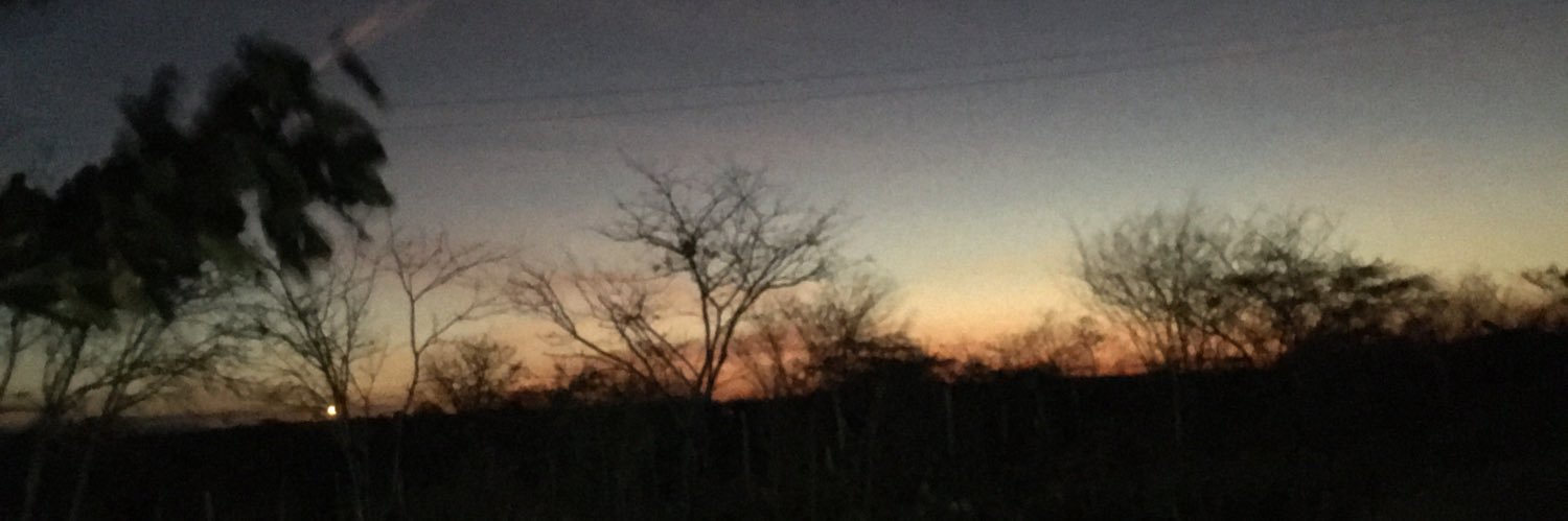 day_dayan's profile banner image