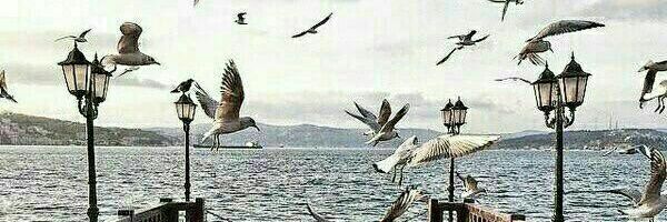 ℰℬℛ𝒜ℋℐℳ🤍 banner