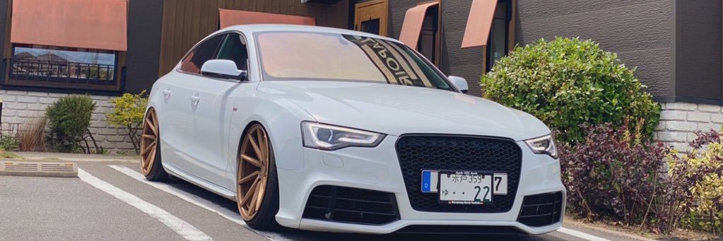 やっこちゃん(⃔ ｰ̀֊ｰ́ )⃕ banner