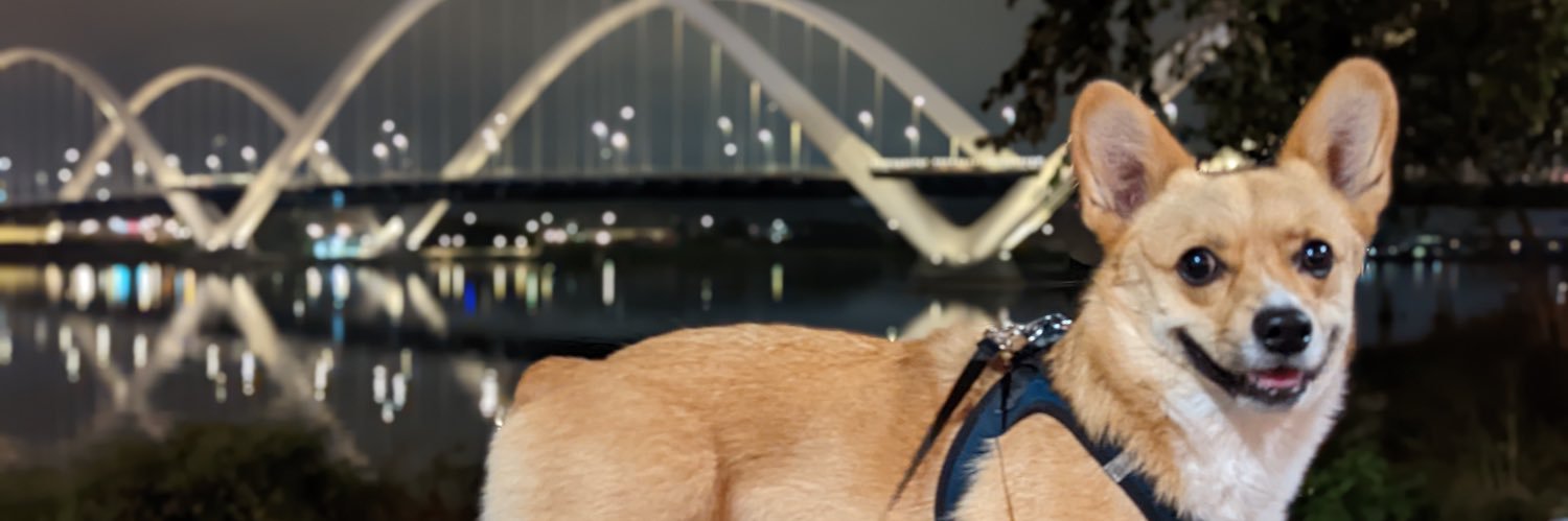 bre_martinez5's profile banner image