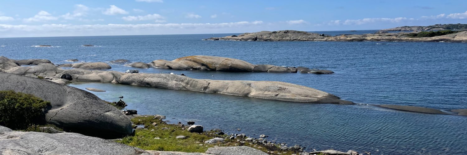 Niels Engelschiøn banner