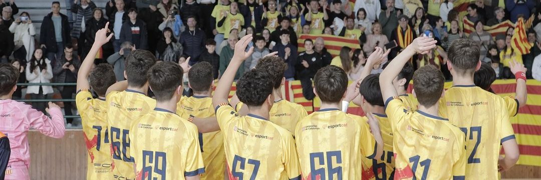 Federació Catalana d’Handbol's banner