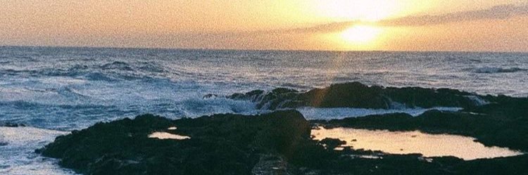 anamarquesf_'s profile banner image
