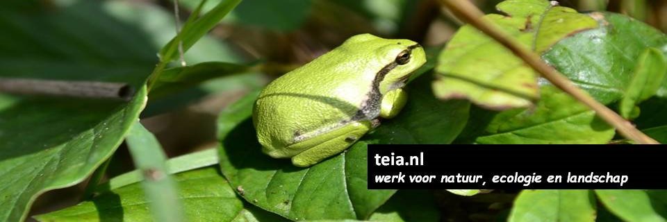 InnovatiefGroen's profile banner image