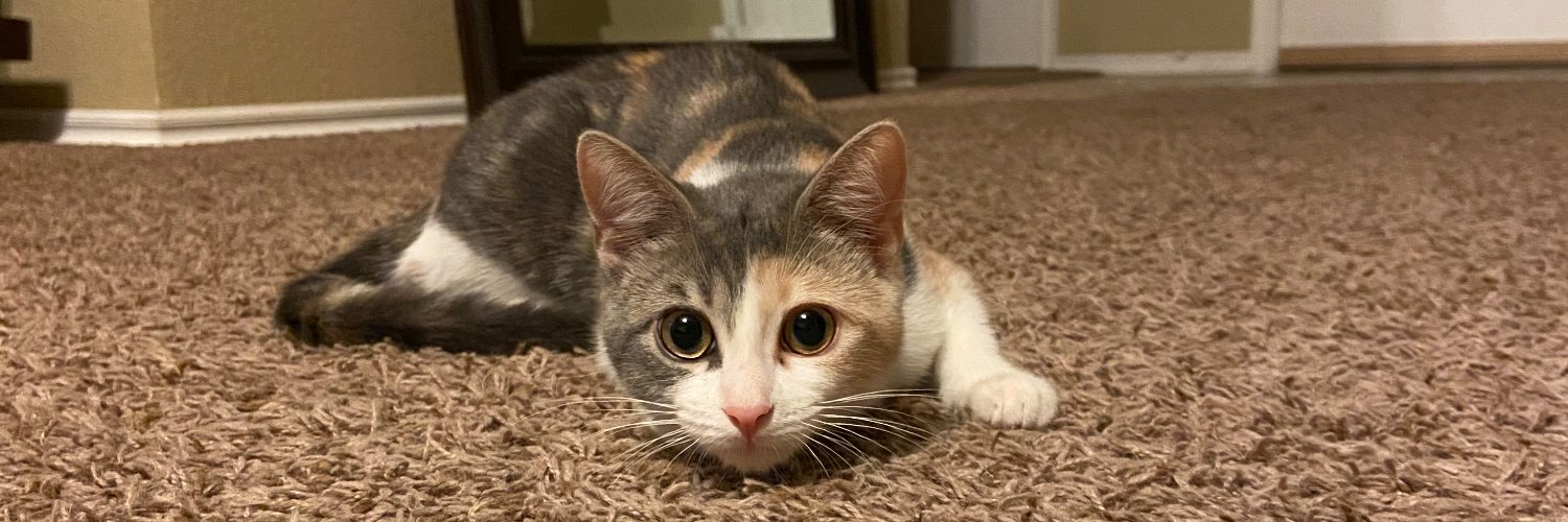 BakerFranchesca's profile banner image