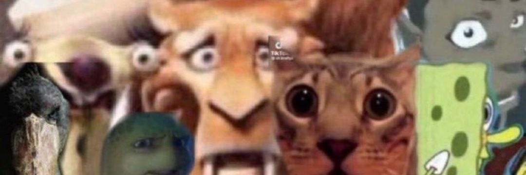 Rodrigo Henrique banner