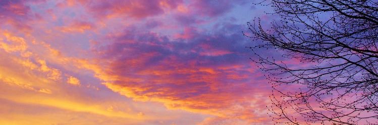 AlexaBronder's profile banner image