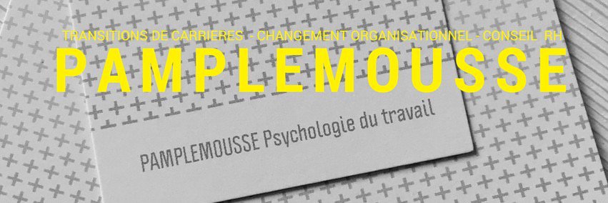 Pamplemousse - Lise Lenain banner