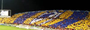 apoelli26's profile banner image