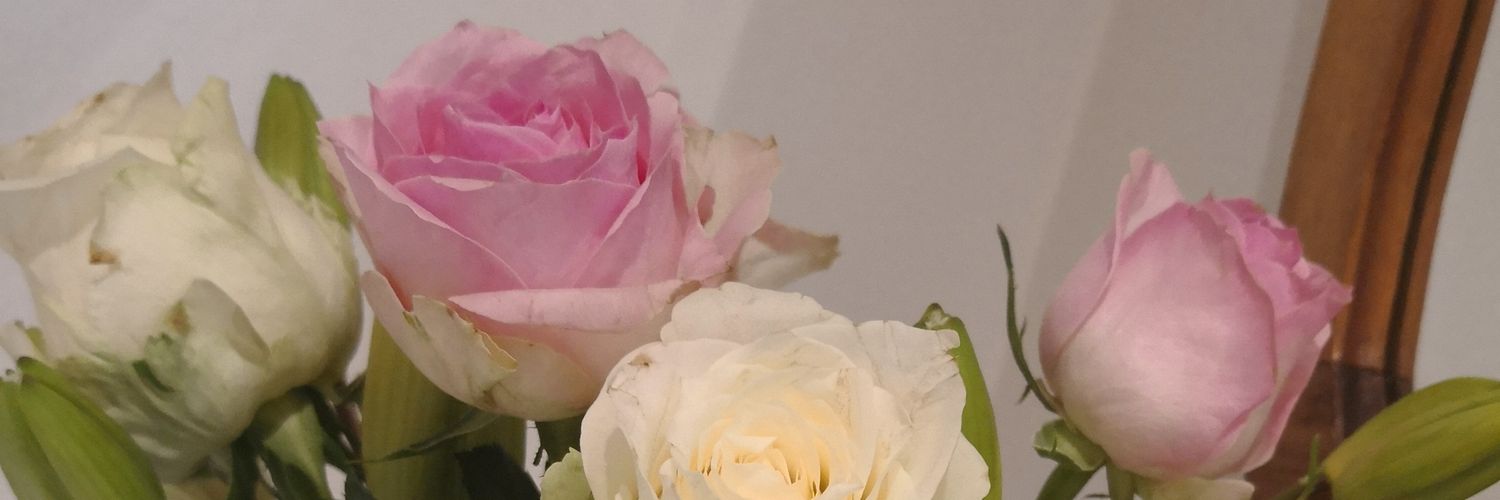 ForsstromEnna's profile banner image