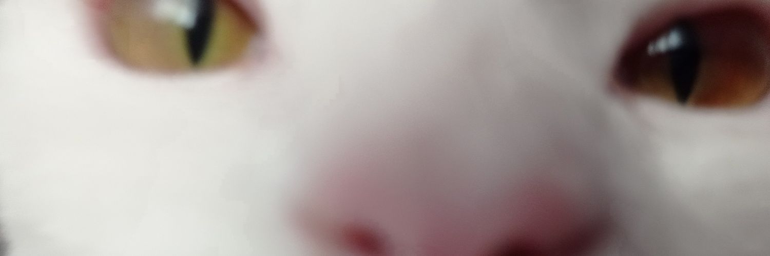 salvasgratiss's profile banner image