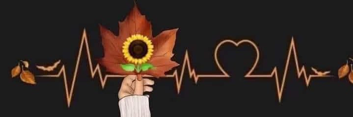 FSustache's profile banner image
