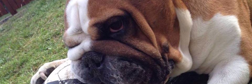Craig_ozy's profile banner image