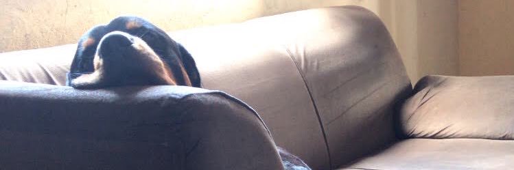 _Carolz02's profile banner image