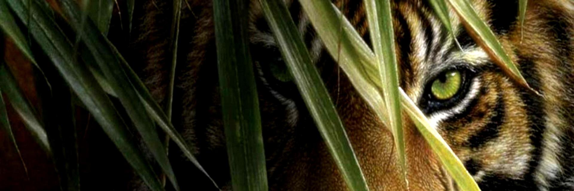 hayden_close's profile banner image