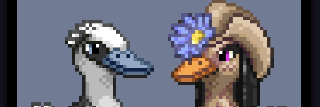 DuckNDive banner