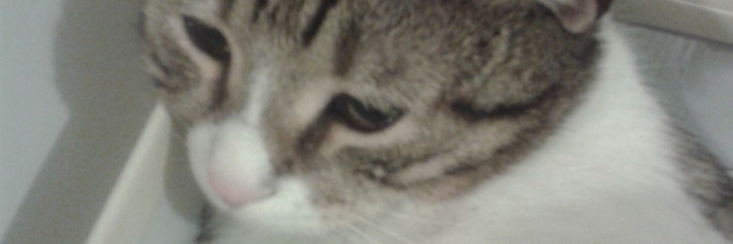 gu_ce's profile banner image