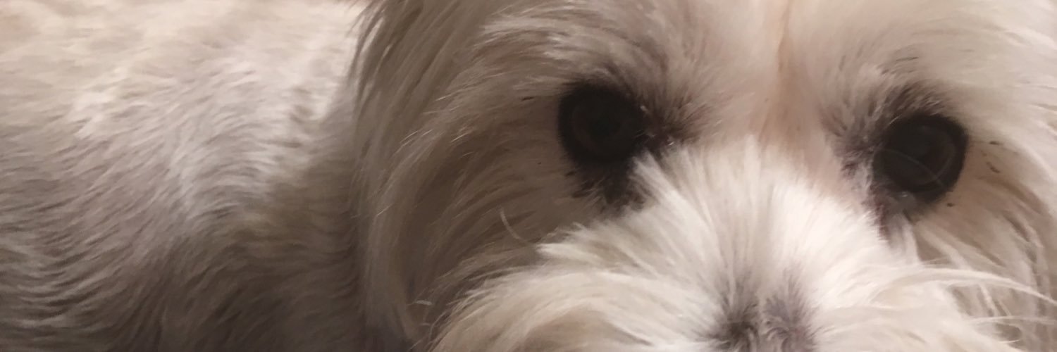 franxamo's profile banner image