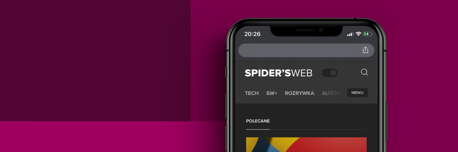 SPIDER'S WEB banner