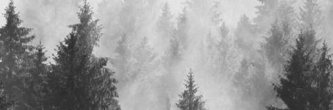 srhcqra's profile banner image