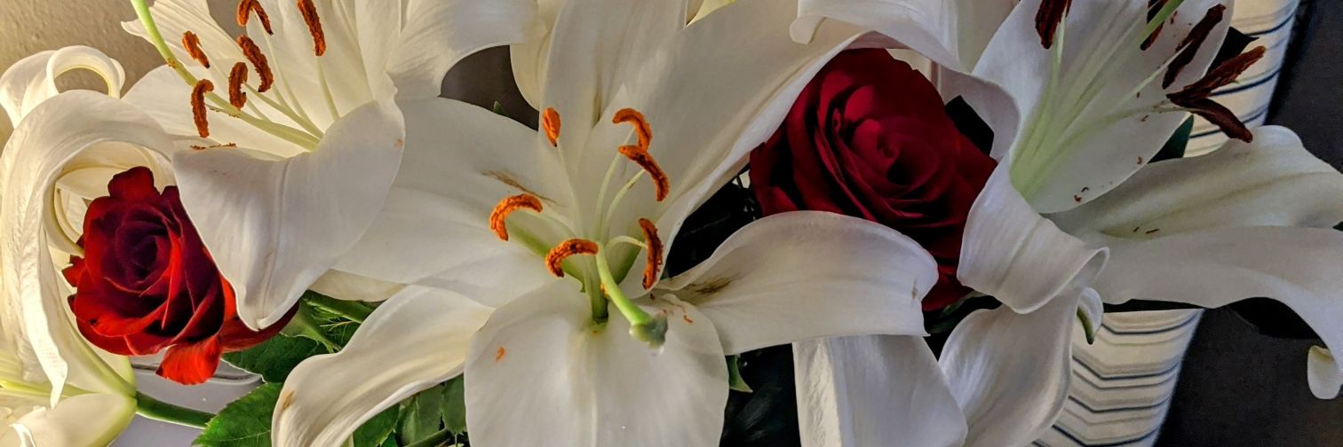 CeiCeiH's profile banner image