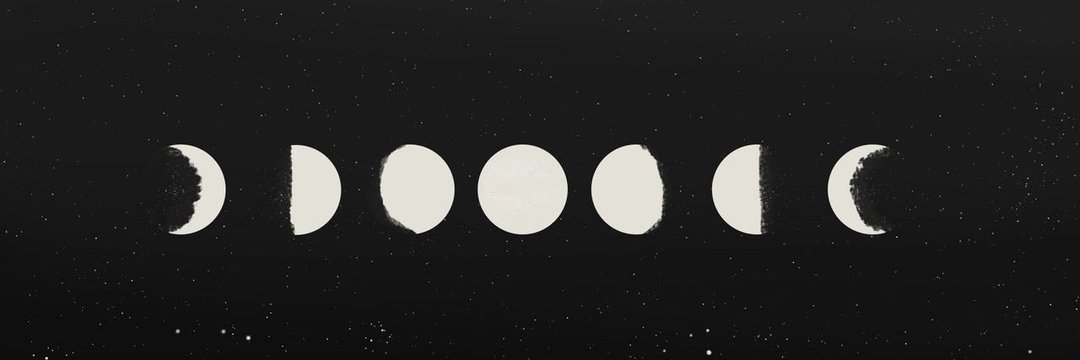 【Wøłf】 banner