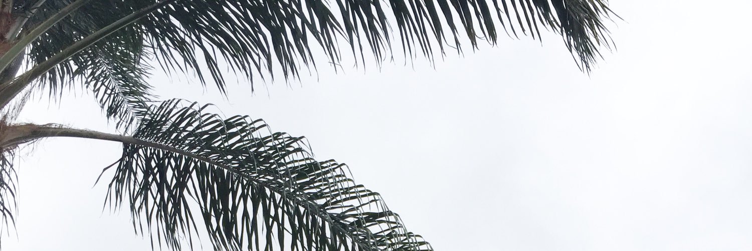 AshleyWeiler's profile banner image