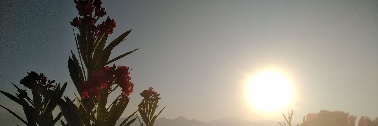 TheLisaLegal's profile banner image