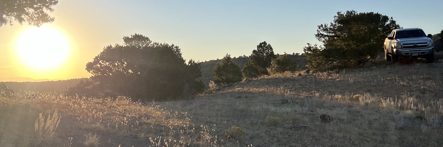 IDomi_NATE's profile banner image