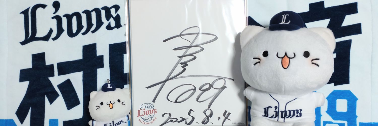 SFZ1113's profile banner image