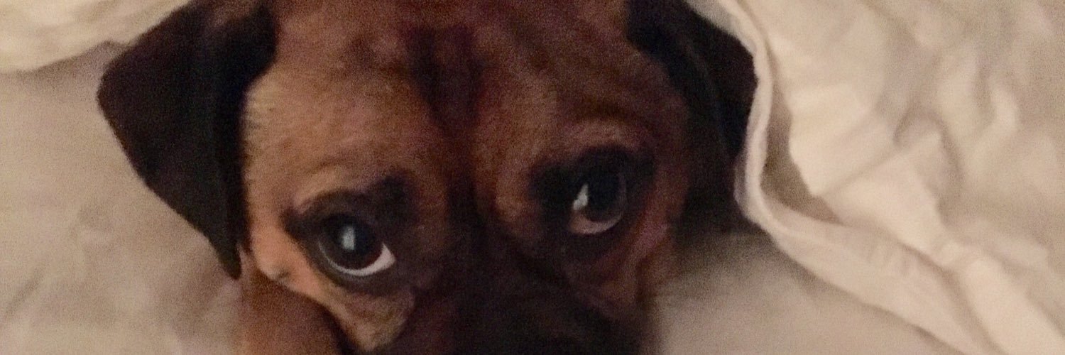 Samiieface's profile banner image