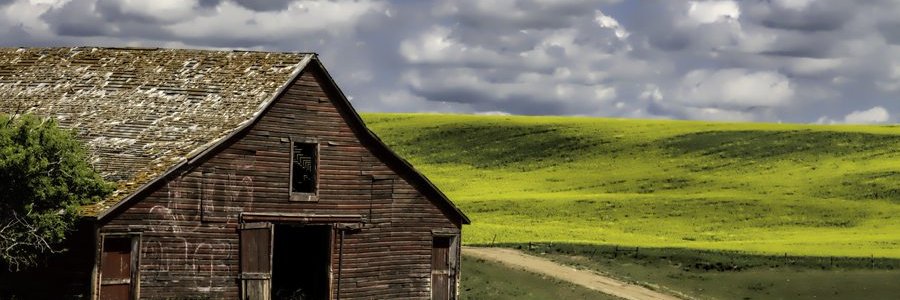 todd_abraham's profile banner image