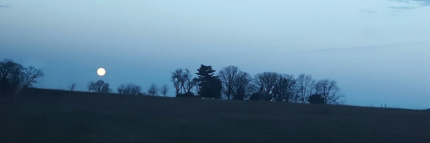 MoeTanner2's profile banner image