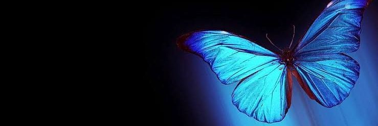 devishiv21's profile banner image
