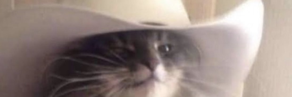 RyanBlizz's profile banner image