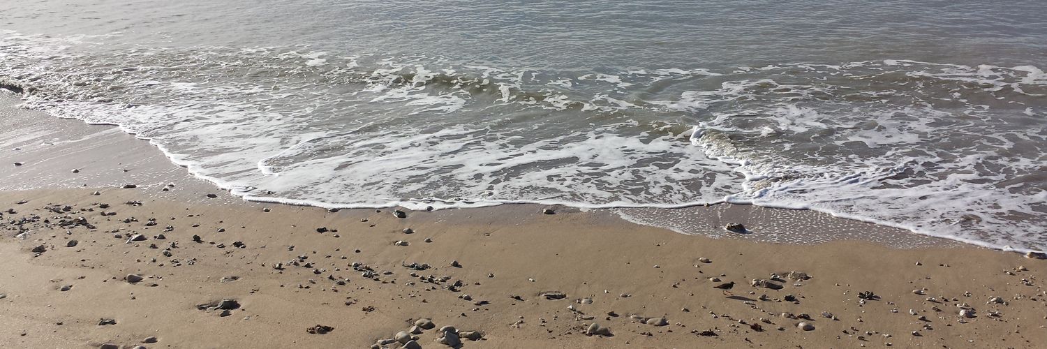 sandraGblt's profile banner image