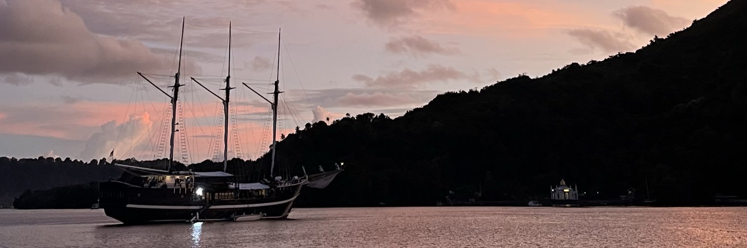 amQnese's profile banner image