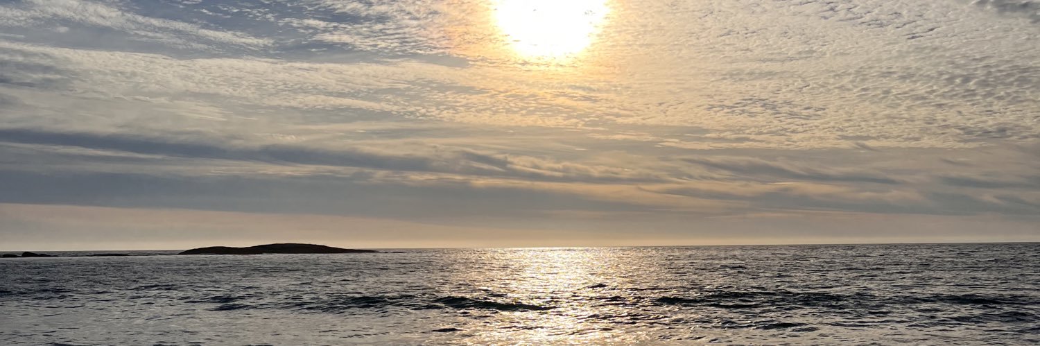 Lindi banner